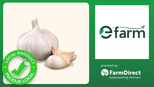 Premium White Garlic 500g