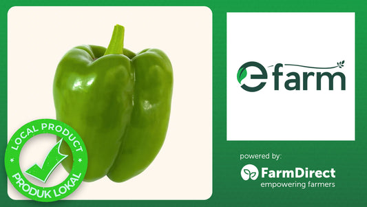 Green Bell Pepper 1pc